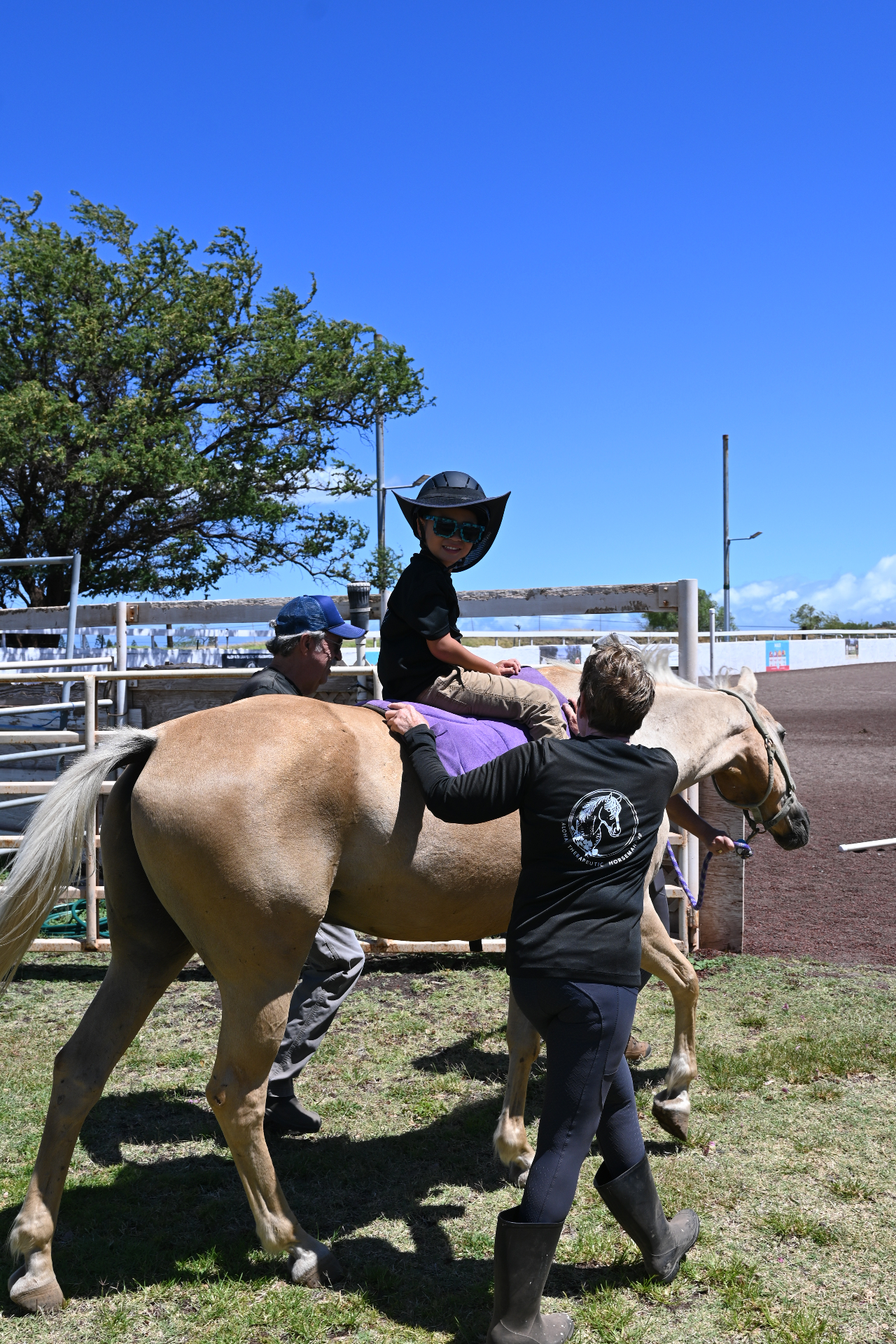 Aloha Therapeutic Horsemanship